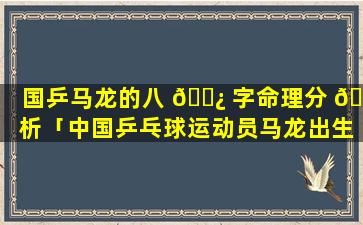 国乒马龙的八 🌿 字命理分 🌵 析「中国乒乓球运动员马龙出生年月日」